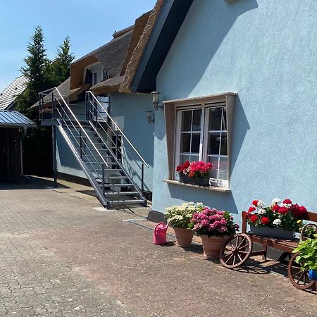 Reethaus Vilmnitz - Ferienwohnung Goor Exterior foto