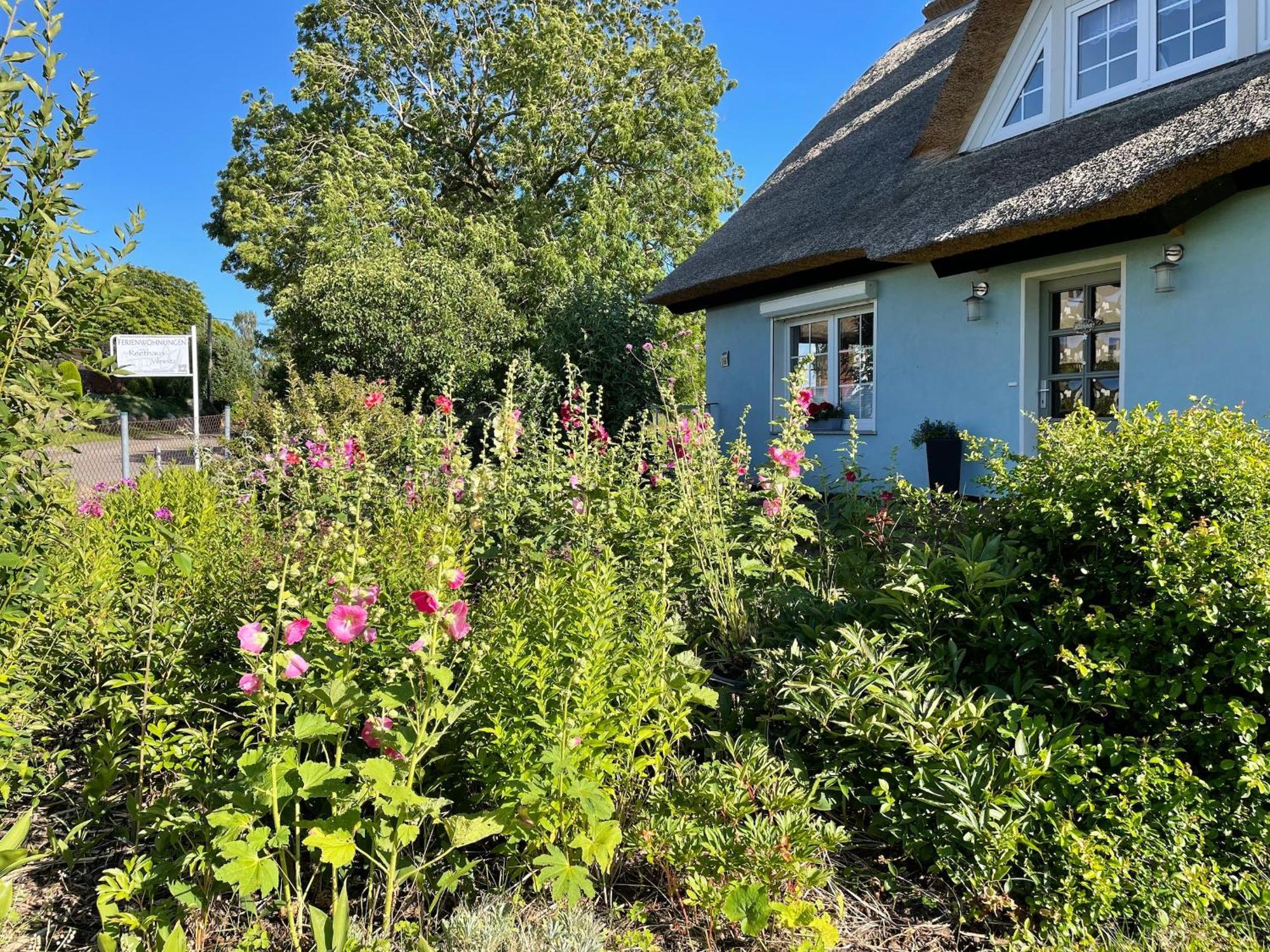 Reethaus Vilmnitz - Ferienwohnung Goor Exterior foto